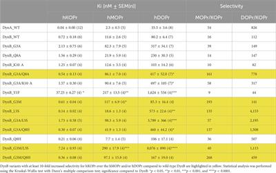 Structure–function relationship of dynorphin B variants using naturally occurring amino acid substitutions